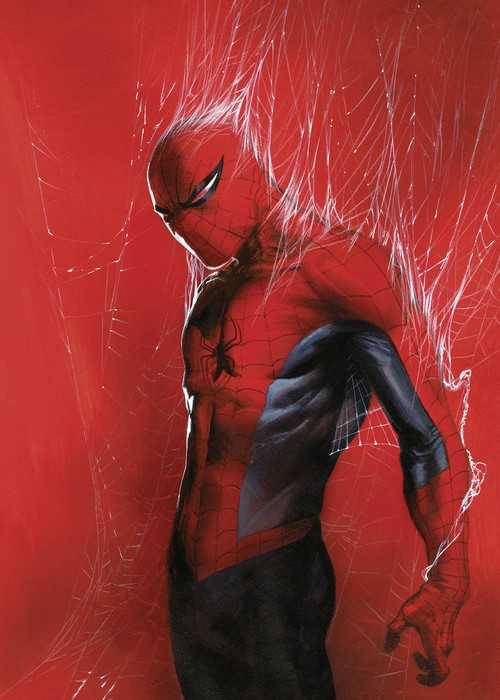 Poster d'art Marvel Spider-Man Through the Spider Web