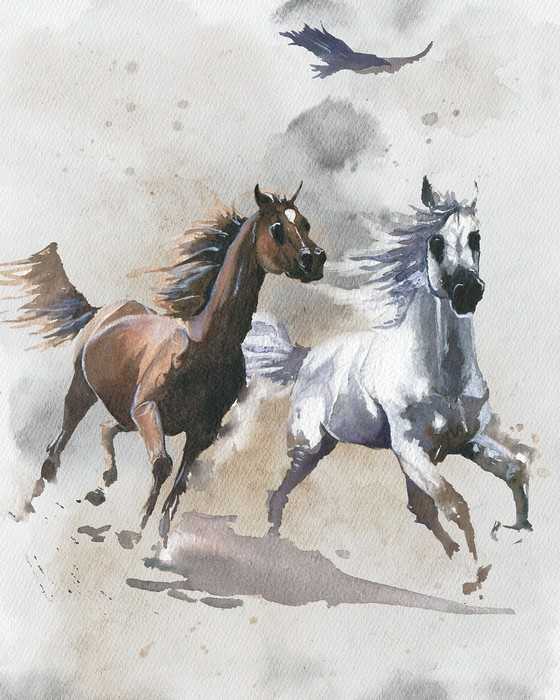 Intissé Standard Wild Ride