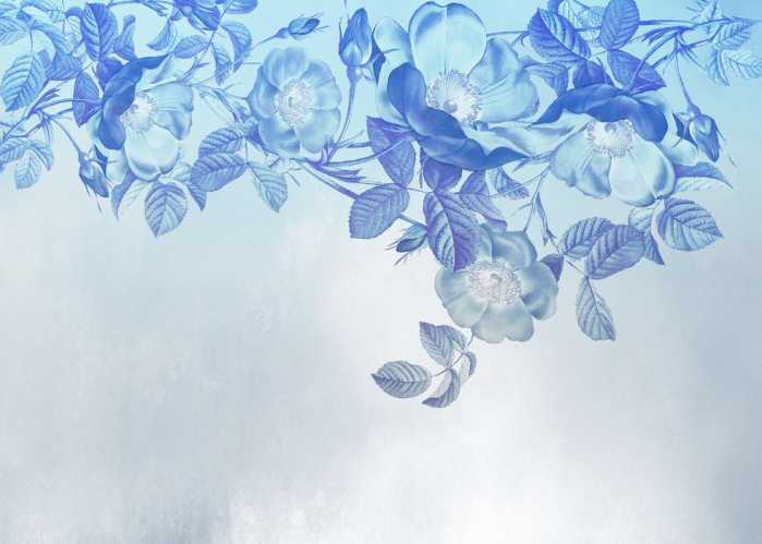 Intissé Standard Blue Aura