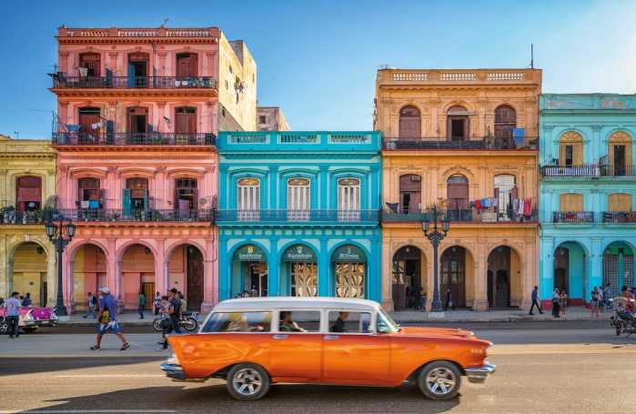 Intissé Standard Havanna