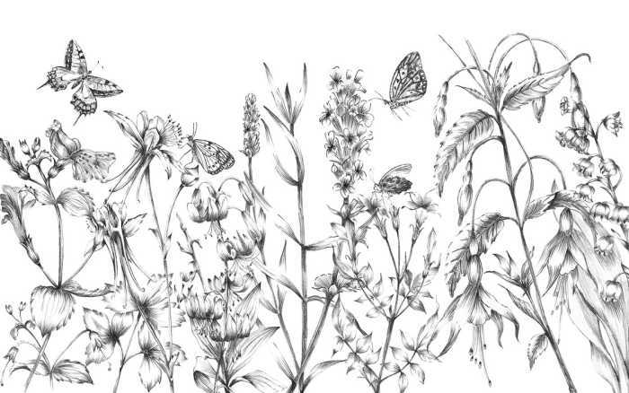Intissé Standard Butterfly Field