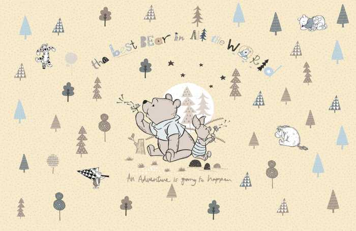 Intissé Standard Winnie the Pooh Best Bear