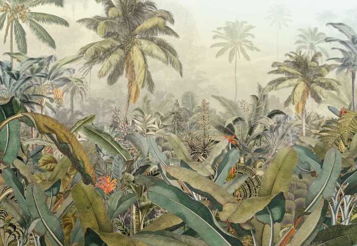 Intissé Amazonia