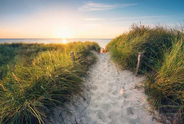 Intissé Way to the Beach