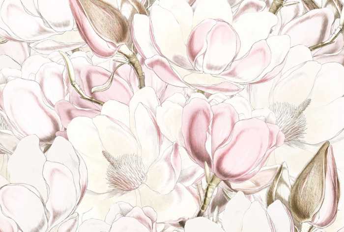 Photo murale sur intissé Petals