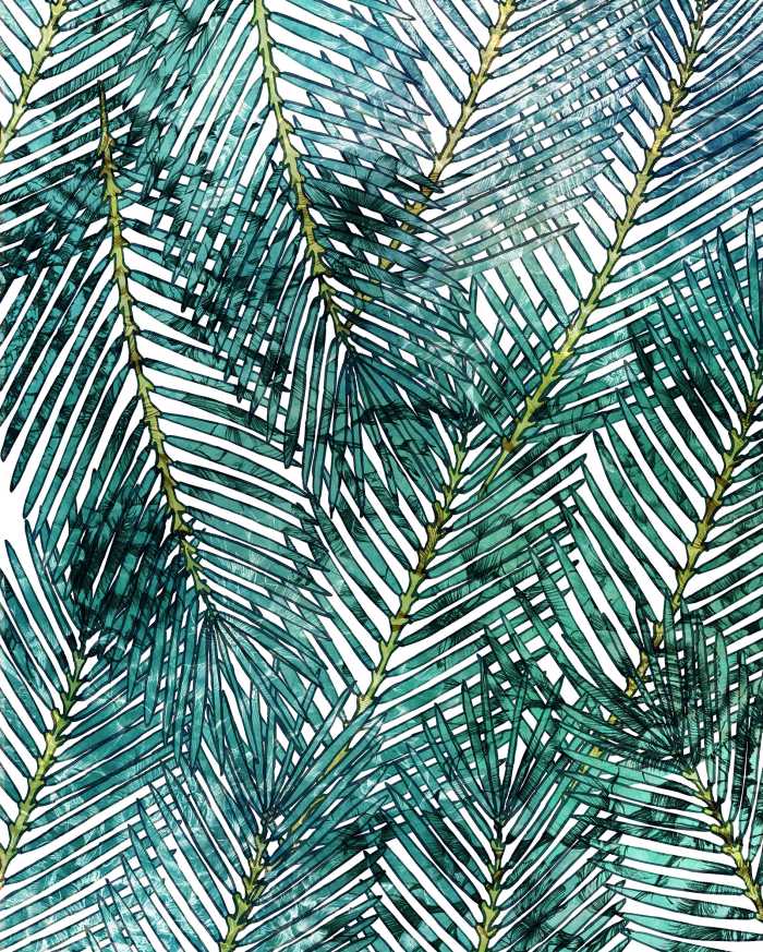 Photo murale intissé impression numérique Palm Canopy