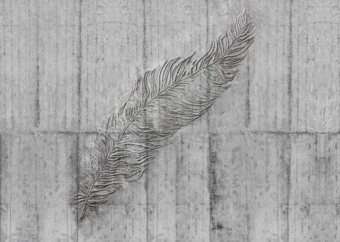 Poster XXL impression numérique Concrete Feather