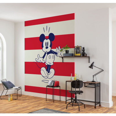 Mickey Vibrant