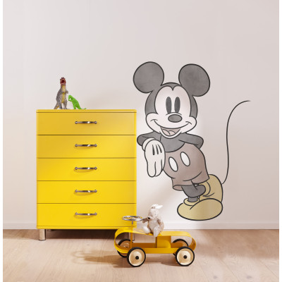 Mickey Essential