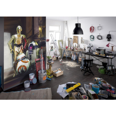 Star Wars Three Droids