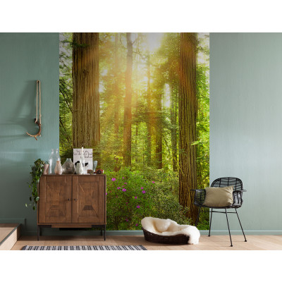 Redwood