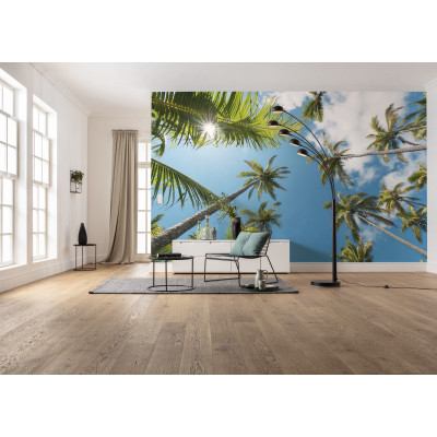 Coconut Heaven II 