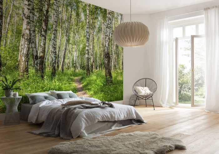 Intissé Standard Forêt de Bouleaux