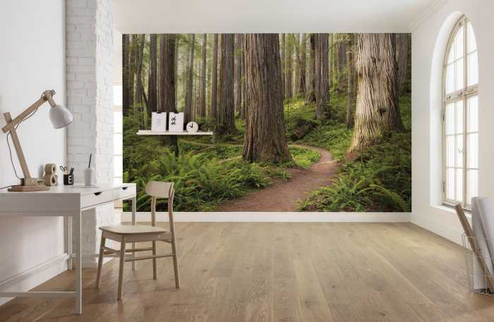 Photo murale intissé impression numérique Redwood Trail