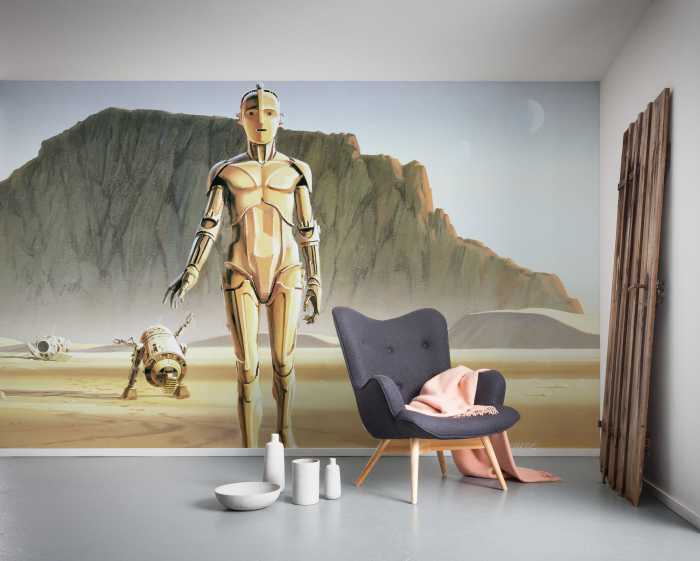 Photo murale intissé impression numérique Star Wars Classic RMQ Droids