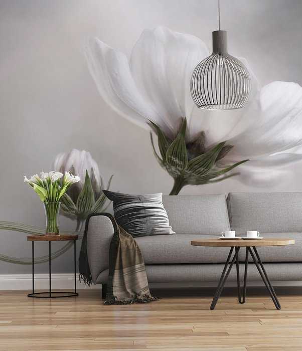 Intissé Premium Into the Light