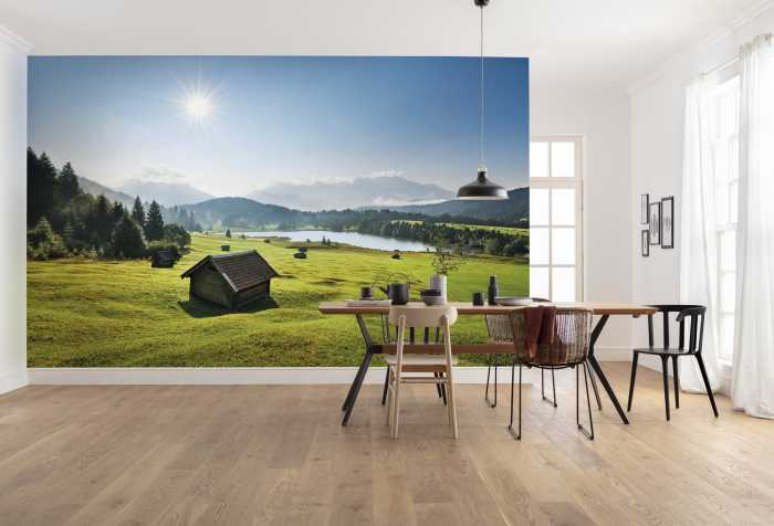 Photo murale intissé impression numérique Bergwiese vor Karwendel
