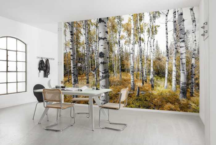 Photo murale intissé impression numérique Colorful Aspenwoods
