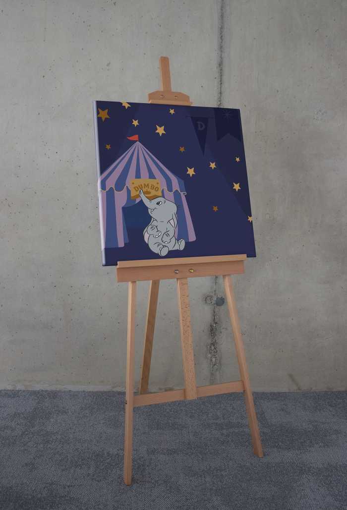 Tableau intissé Starry Night with Dumbo