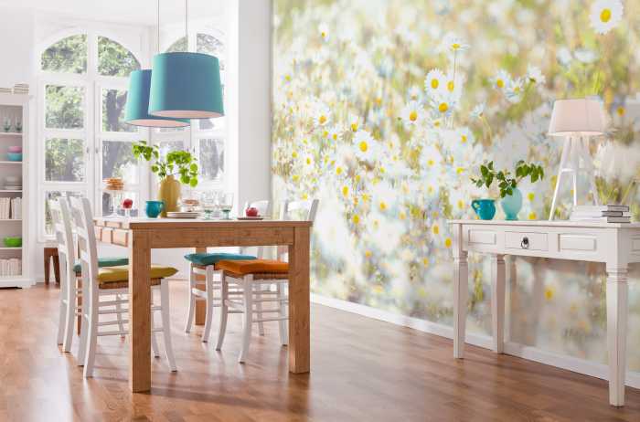 Photo murale Daisies