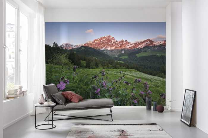 Photo murale intissé impression numérique Picturesque Switzerland