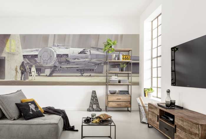Photo murale Star Wars Classic RMQ Millenium Falcon