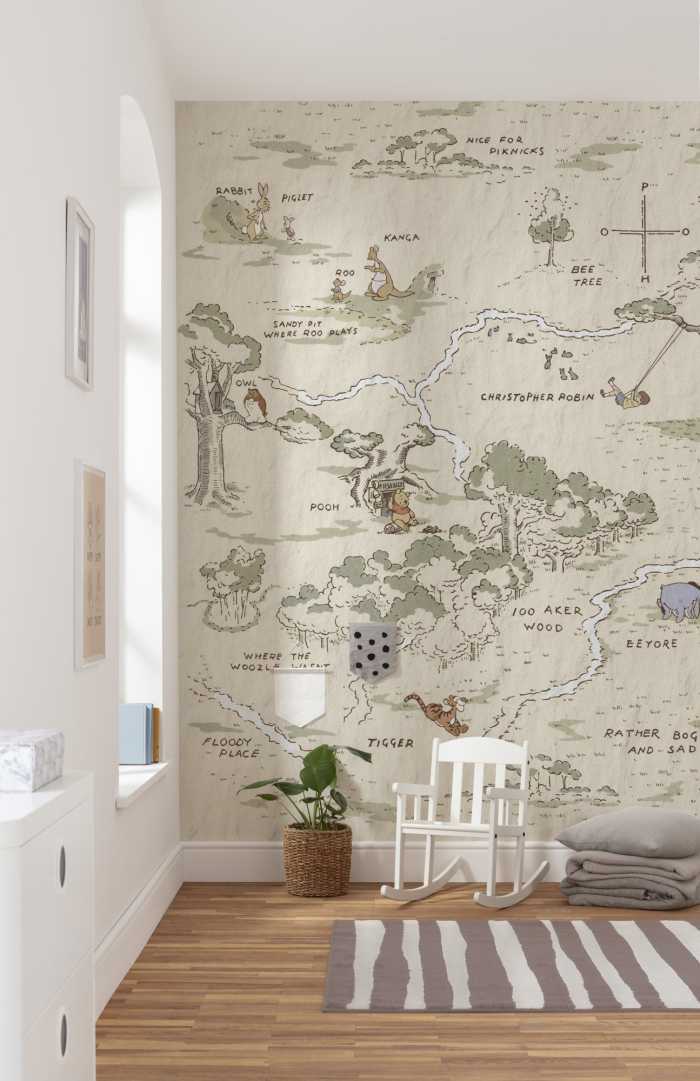 Photo murale intissé impression numérique Winnie the Pooh Map