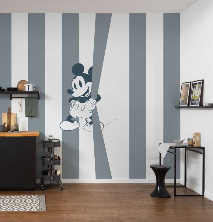 Photo murale intissé impression numérique Mickey Offbeat