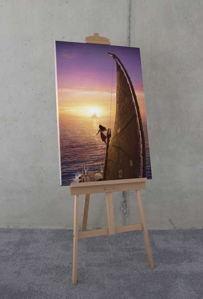 Toile Imprimé Disney Moana 2 To the Horizon