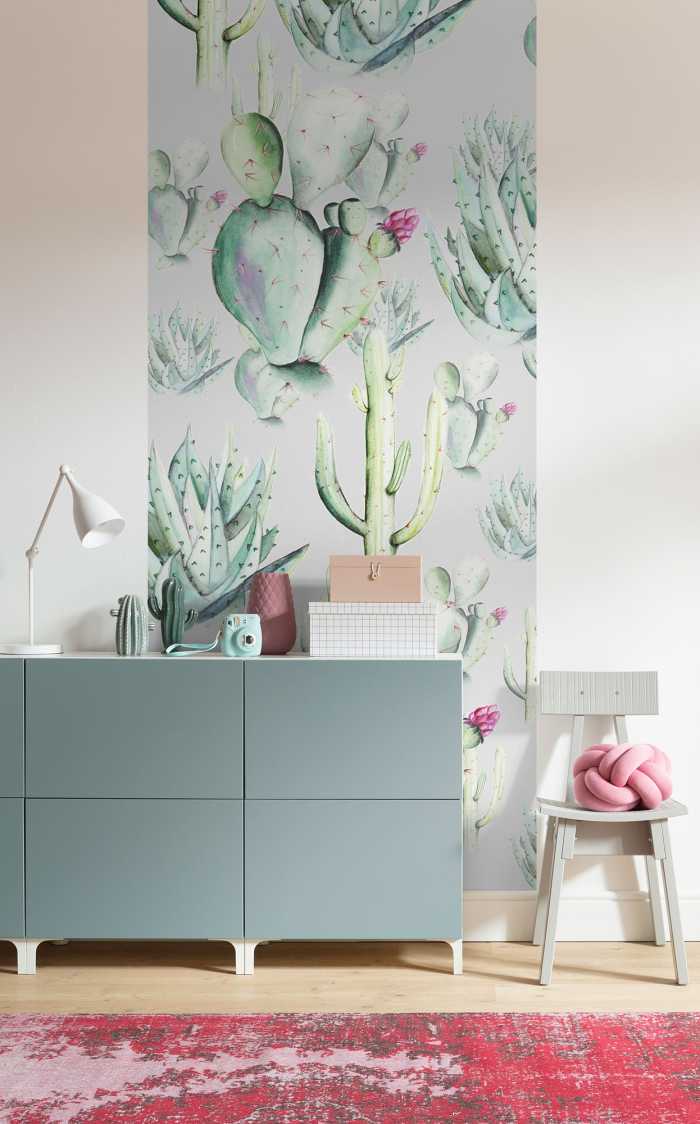 Photo murale intissé impression numérique Cactus Grey