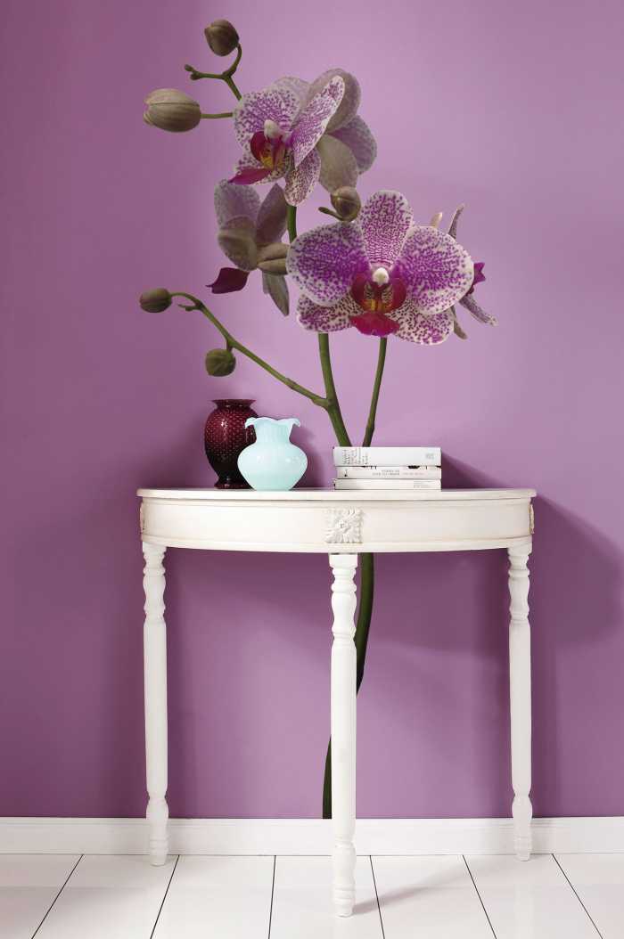 Sticker mural Orchidee