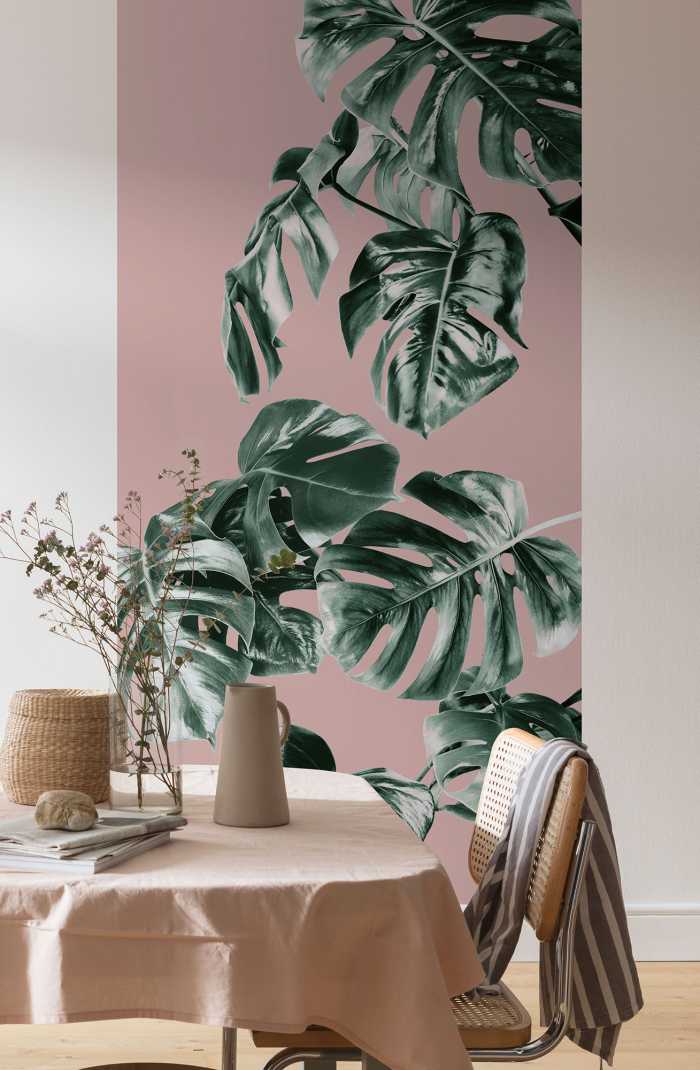 Photo murale intissé impression numérique Monstera Rosé