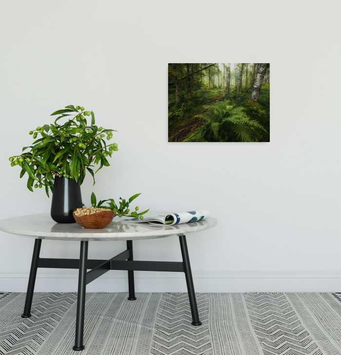 Tableau intissé Mystic Birch Grove