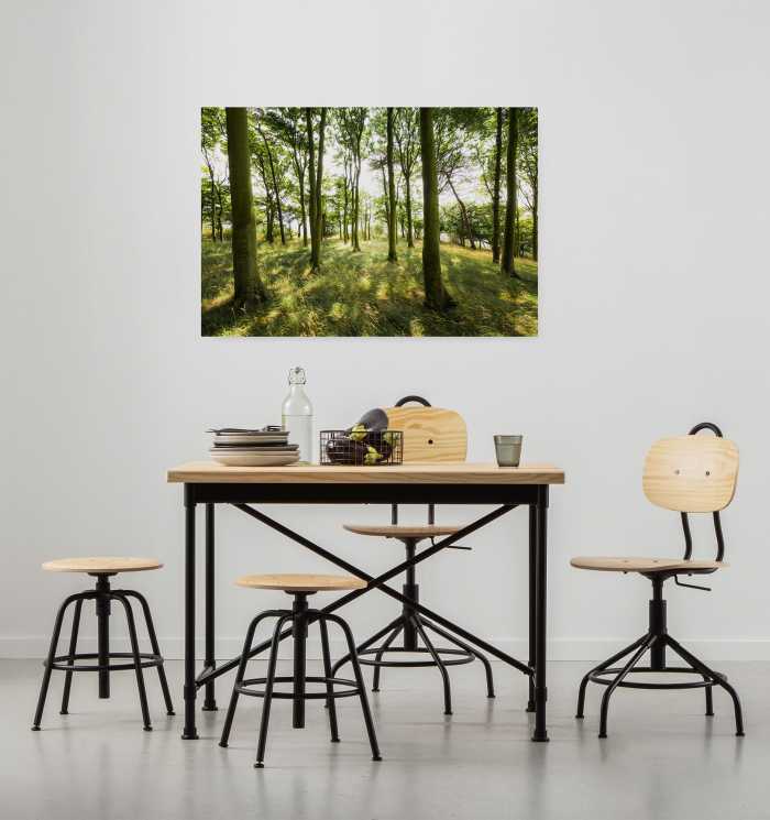 Tableau intissé Dänische Buchen