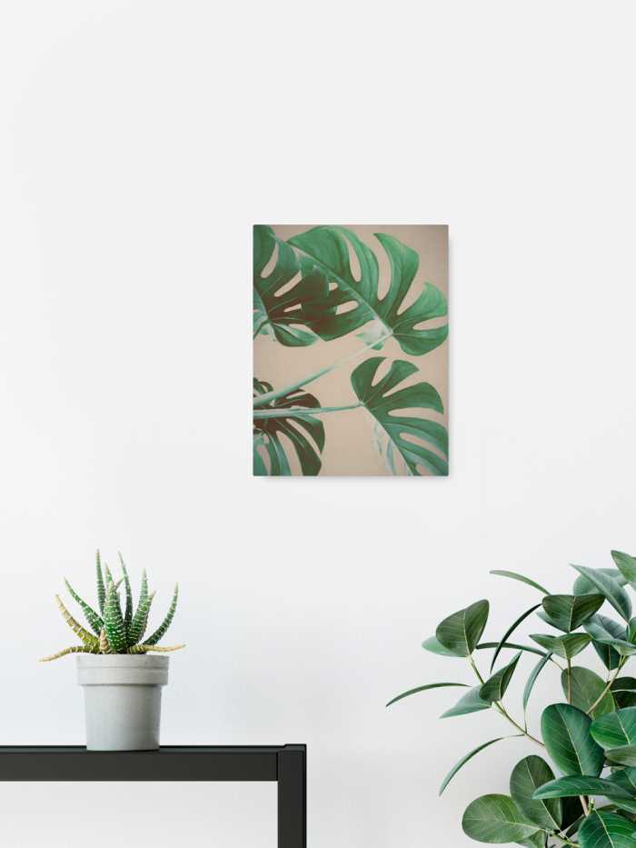 Tableau intissé Wild at Home
