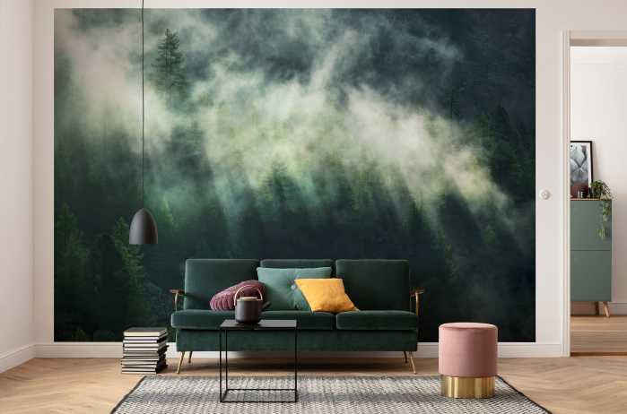 Photo murale intissé impression numérique Misty Crowns