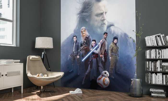 Photo murale intissé impression numérique Star Wars Last Hope