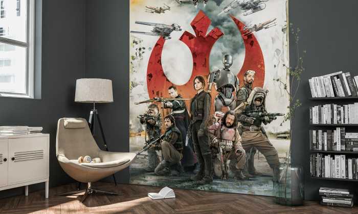 Photo murale intissé impression numérique Star Wars Rebels