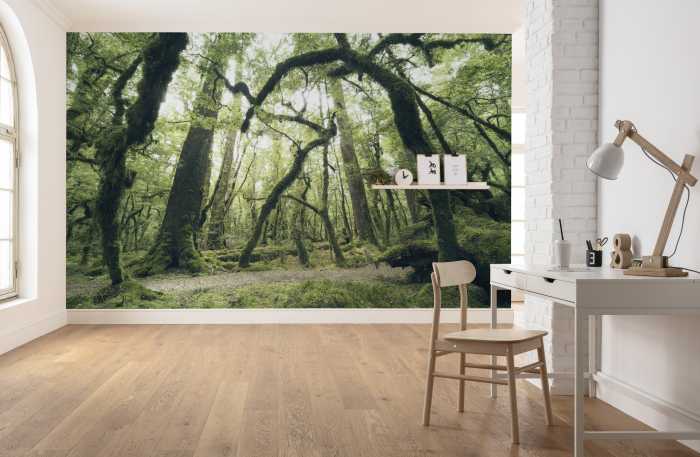Photo murale intissé impression numérique Ancient Green 