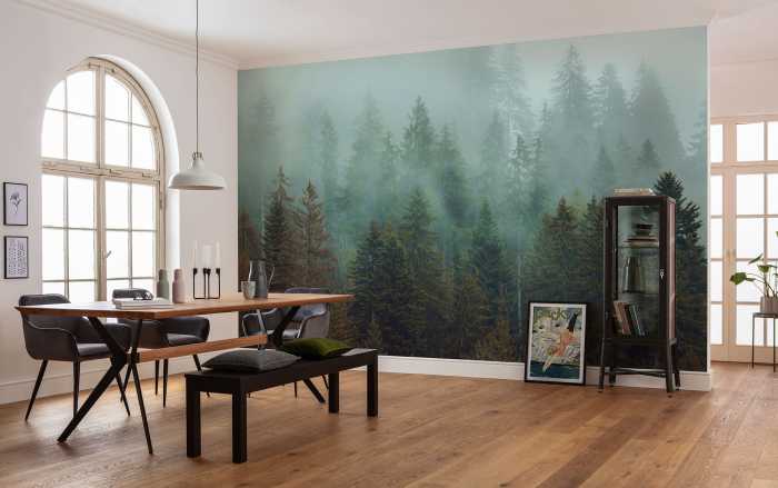 Photo murale intissé impression numérique Foggy Firs