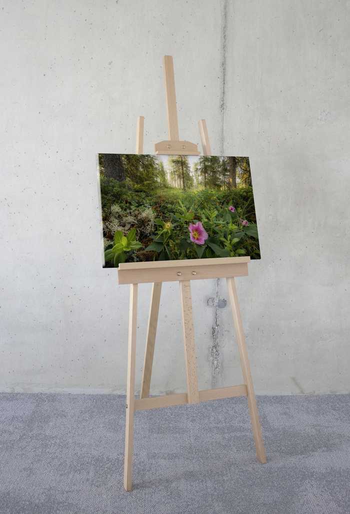 Tableau intissé Charming Woods