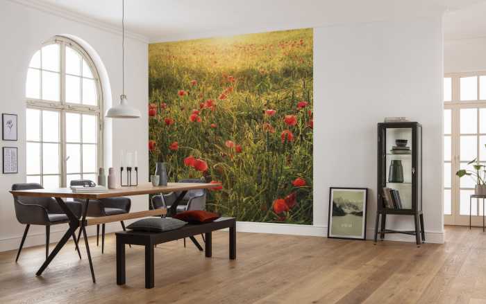 Photo murale intissé impression numérique Poppy World I