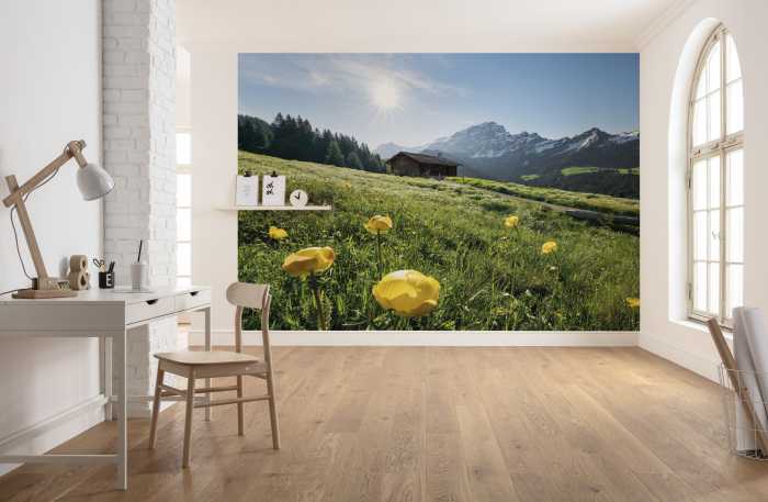 Photo murale intissé impression numérique Alpenglück
