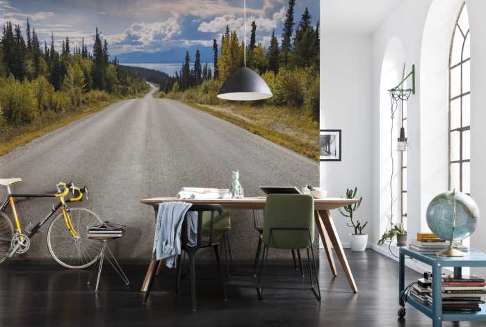 Photo murale Atlin Road