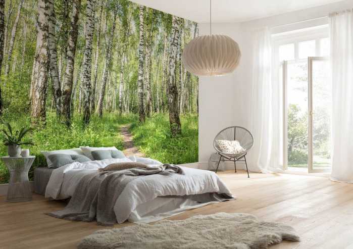 Intissé Standard Forêt de Bouleaux
