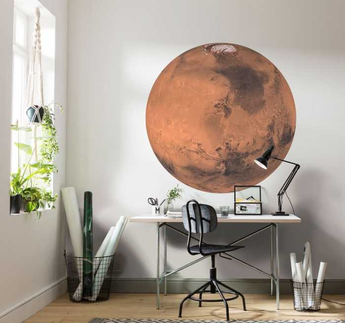 Murale ronde auto-adhésive intissée Mars