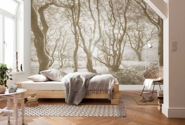 Intissé Premium Bleached Birch