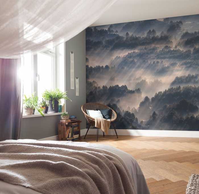 Intissé Premium Rays