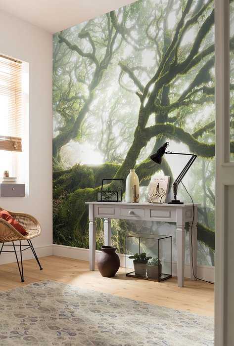 Intissé Premium The Forgotten Forest