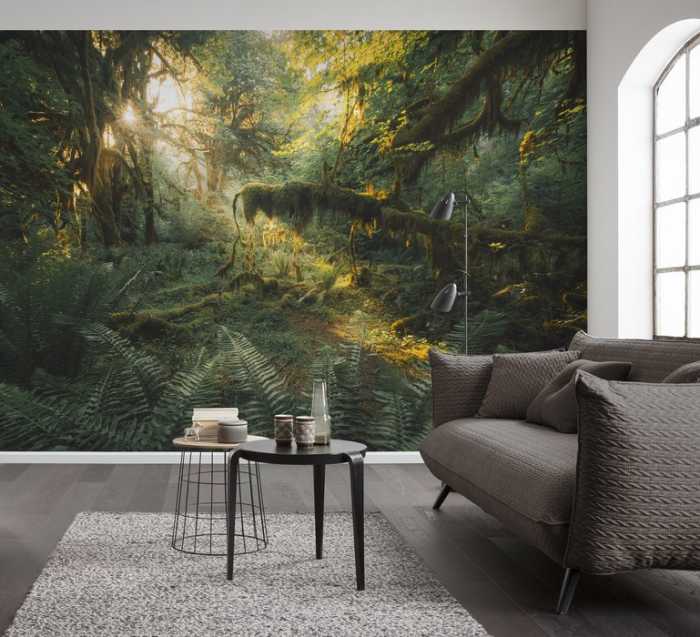 Intissé Premium Hall of Mosses